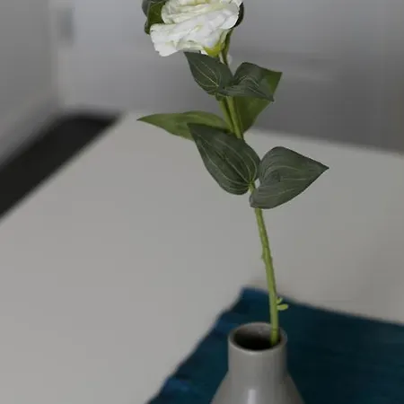 White Moon